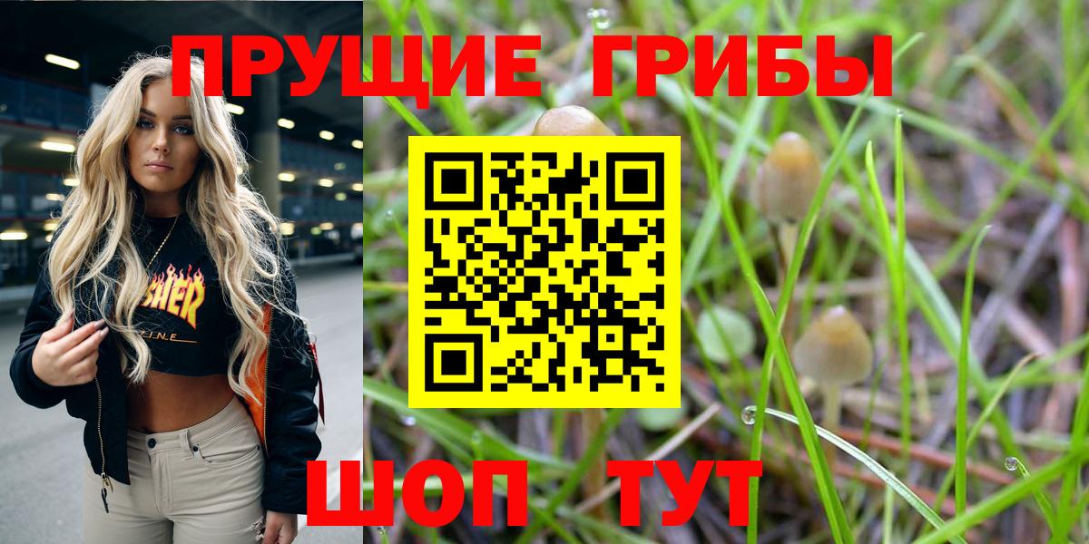 Галлюциногенные грибы Psilocybine cubensis Магадан